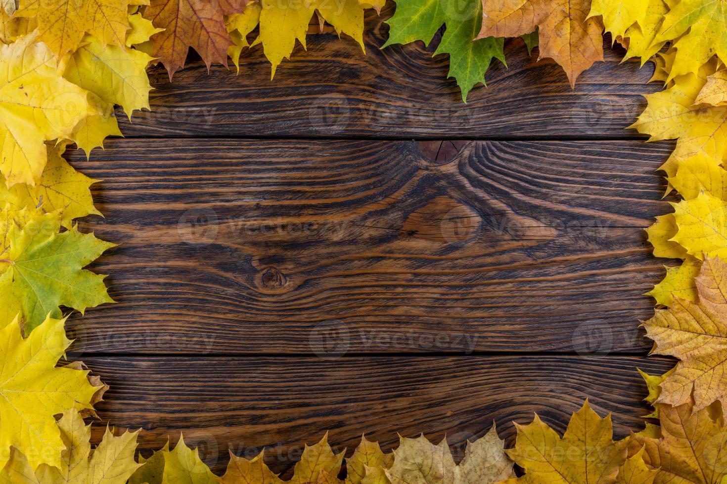 yellow autumn maple leaves rectangular frame on brushed wooden table background photo