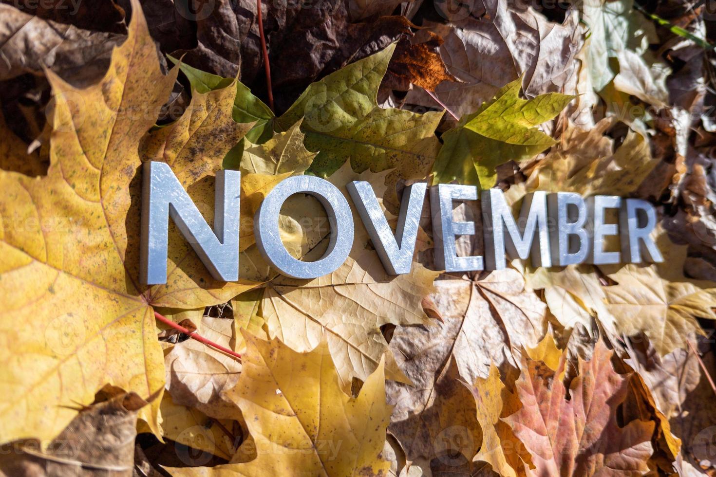 la palabra noviembre colocada con letras de metal sobre hojas caídas de otoño amarillas - cierre con enfoque selectivo foto