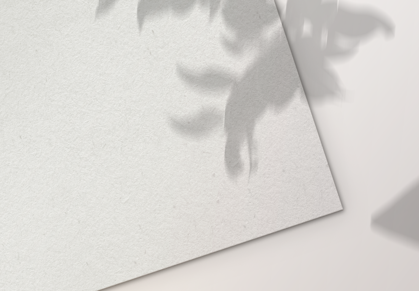 White Paper Sheet with Plant Shadow on Transparent Background png