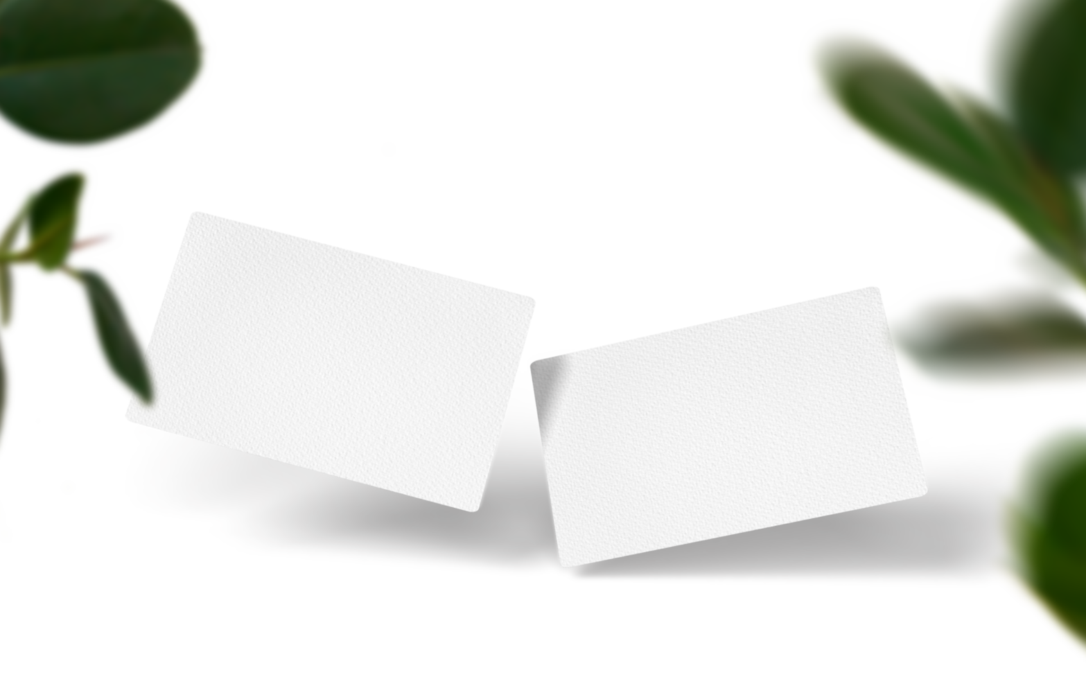 tarjetas de visita blancas con sombras de plantas sobre fondo transparente png