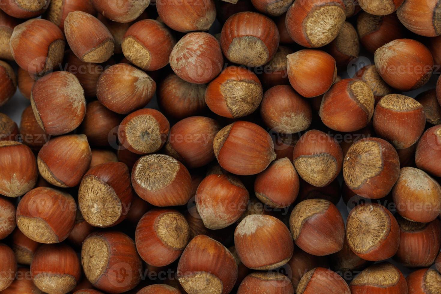 pile of hazelnuts with shells full frame close-up background photo