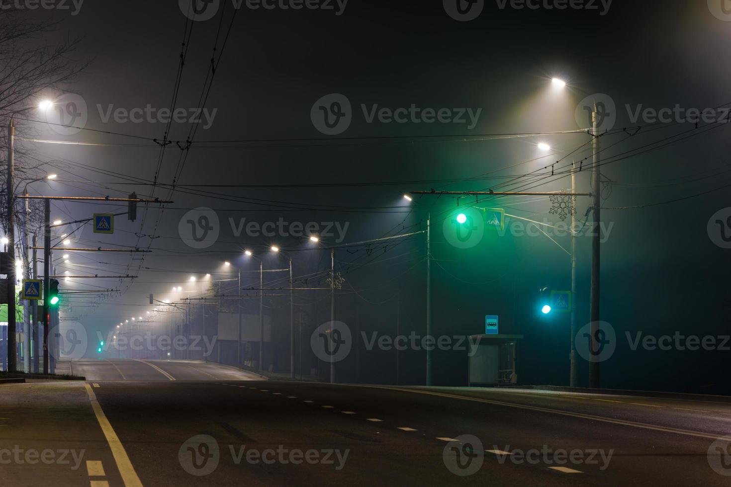 empty foggy night road with rows of lamp posts, green traffic light and pedestrian crossing photo