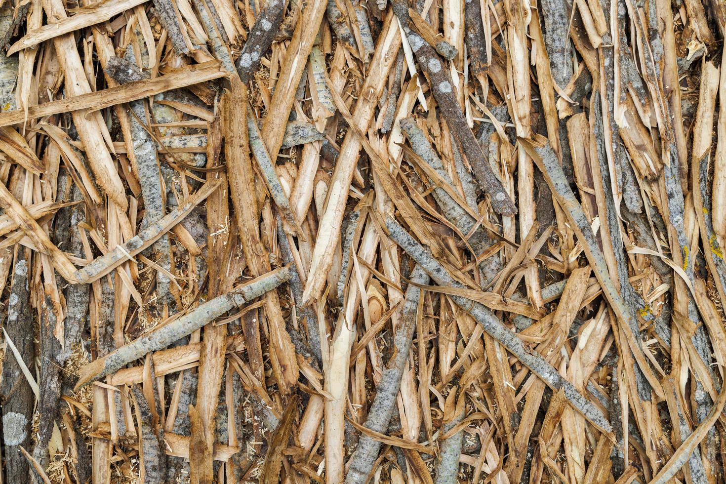 shavings of aspen bark evenly cover a flat surface, close-up full-frame texture and background photo