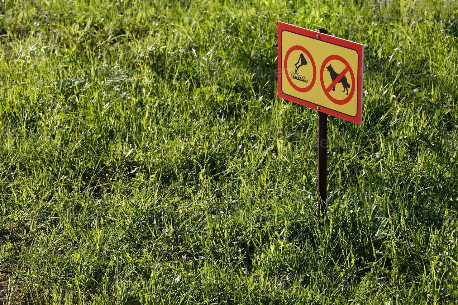 yellow sign with chemical application no dogs on green lawn background - close-up with selective focus photo