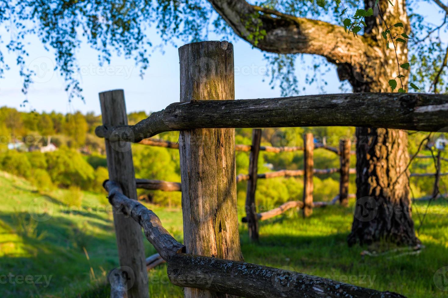 rustic view with log fence and selective focus photo