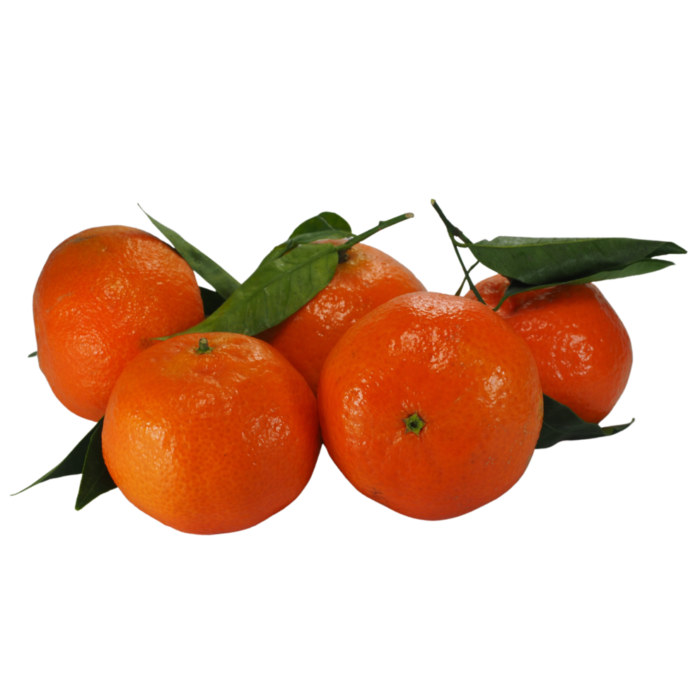 orange fruit cutout png