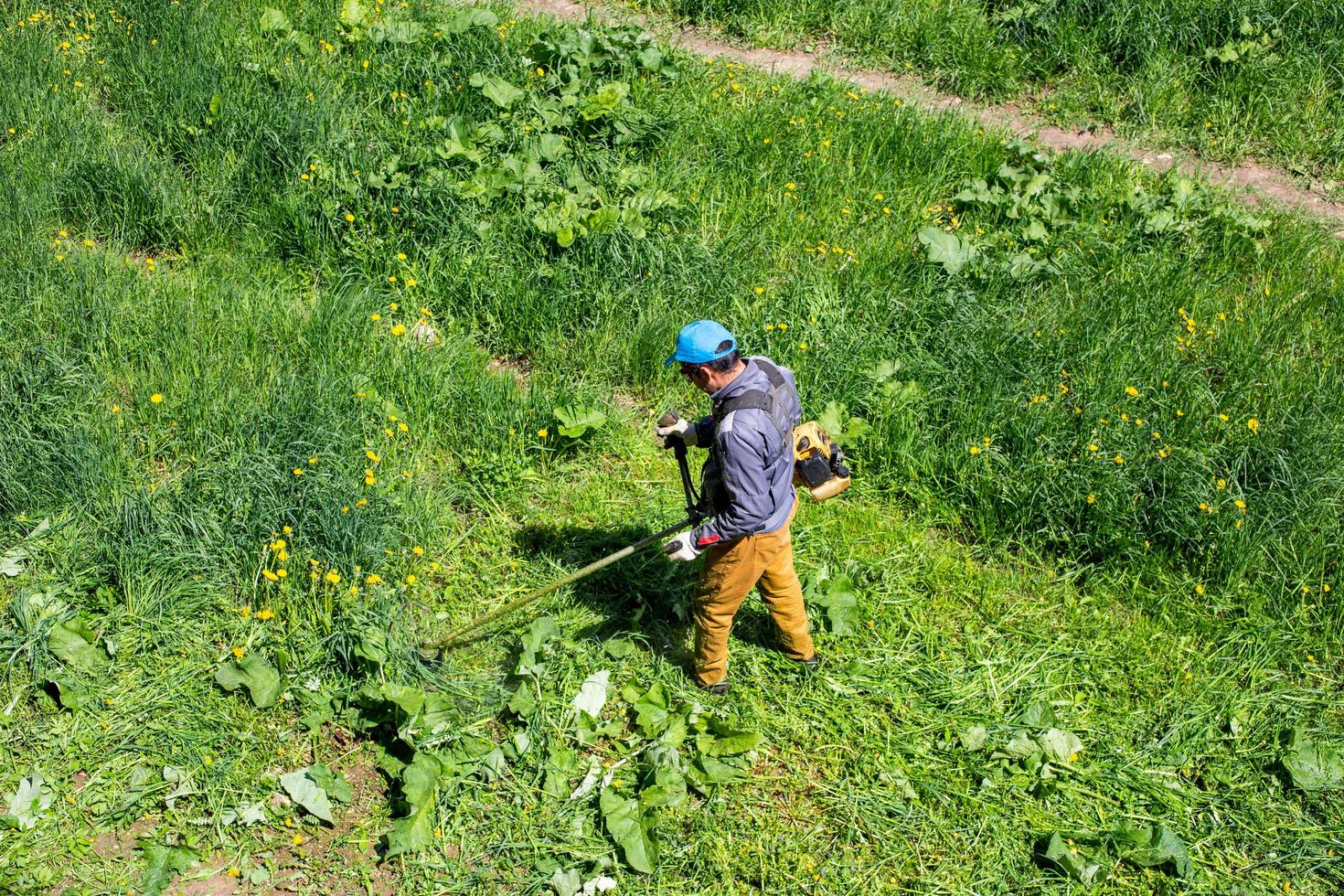 TULA, RUSSIA MAY 19, 2020 Russian official lawnmower worker man cutting green grass with two-cycle engine string trimmer. Top to down view. photo