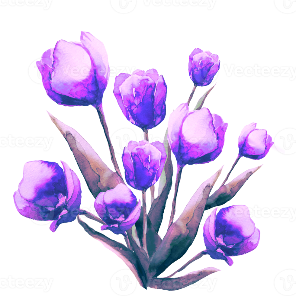 mazzo di tulipani mazzo fiore acquerello illustrazione png