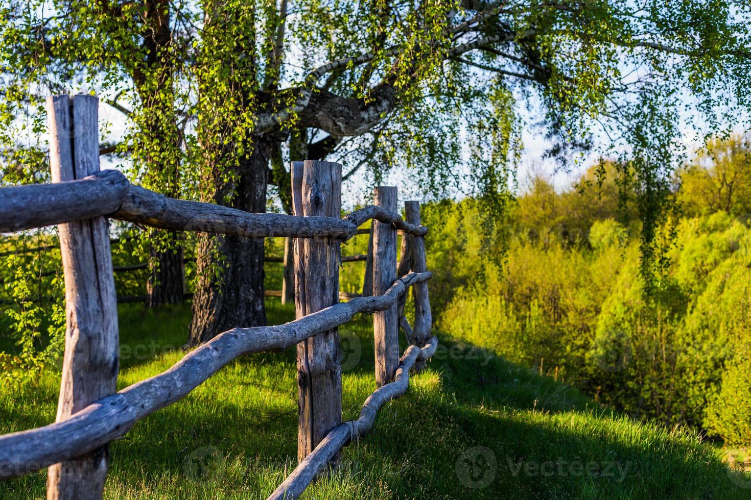 rustic view with log fence and selective focus photo