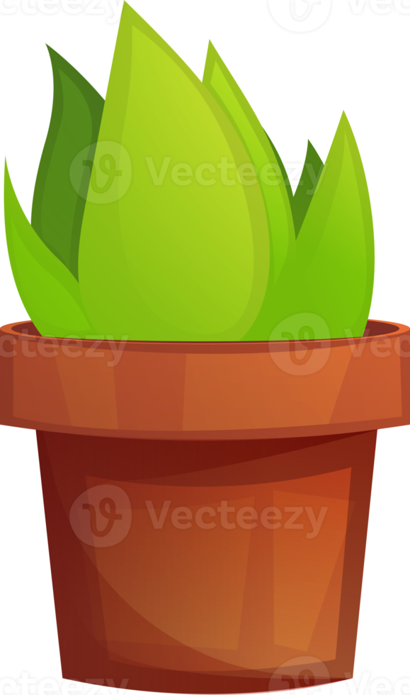 pot with flower png