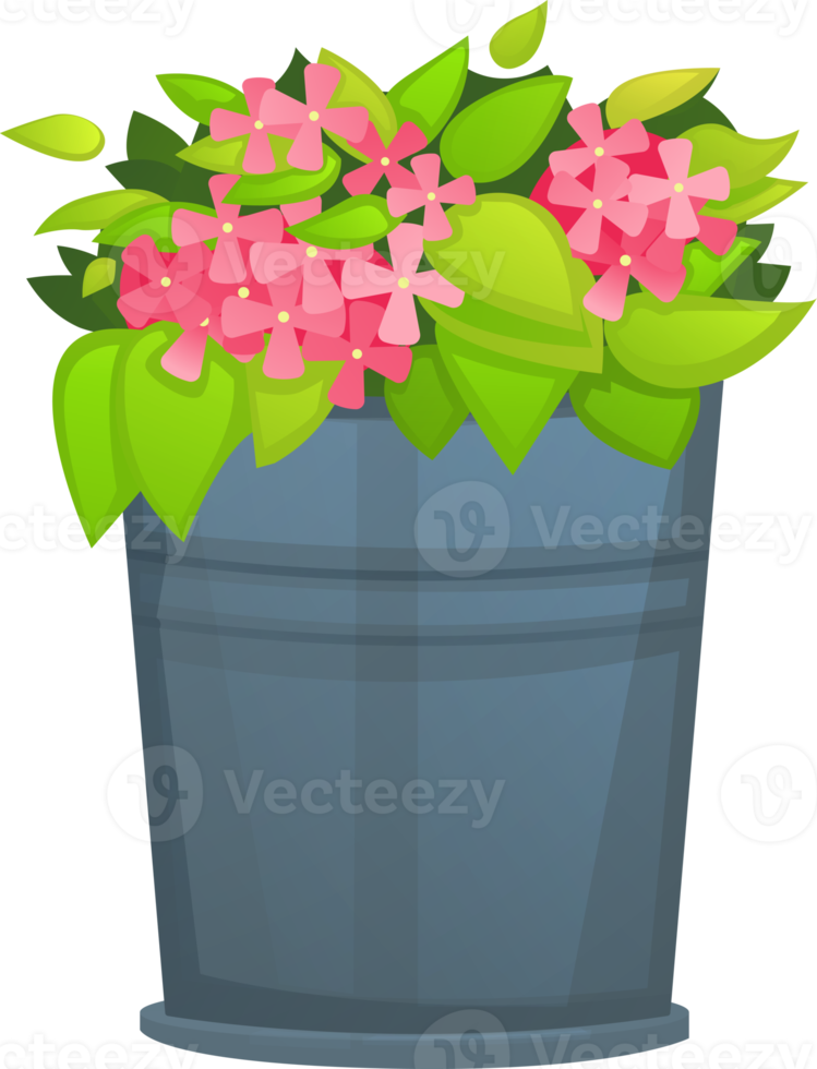 flower in a pot png