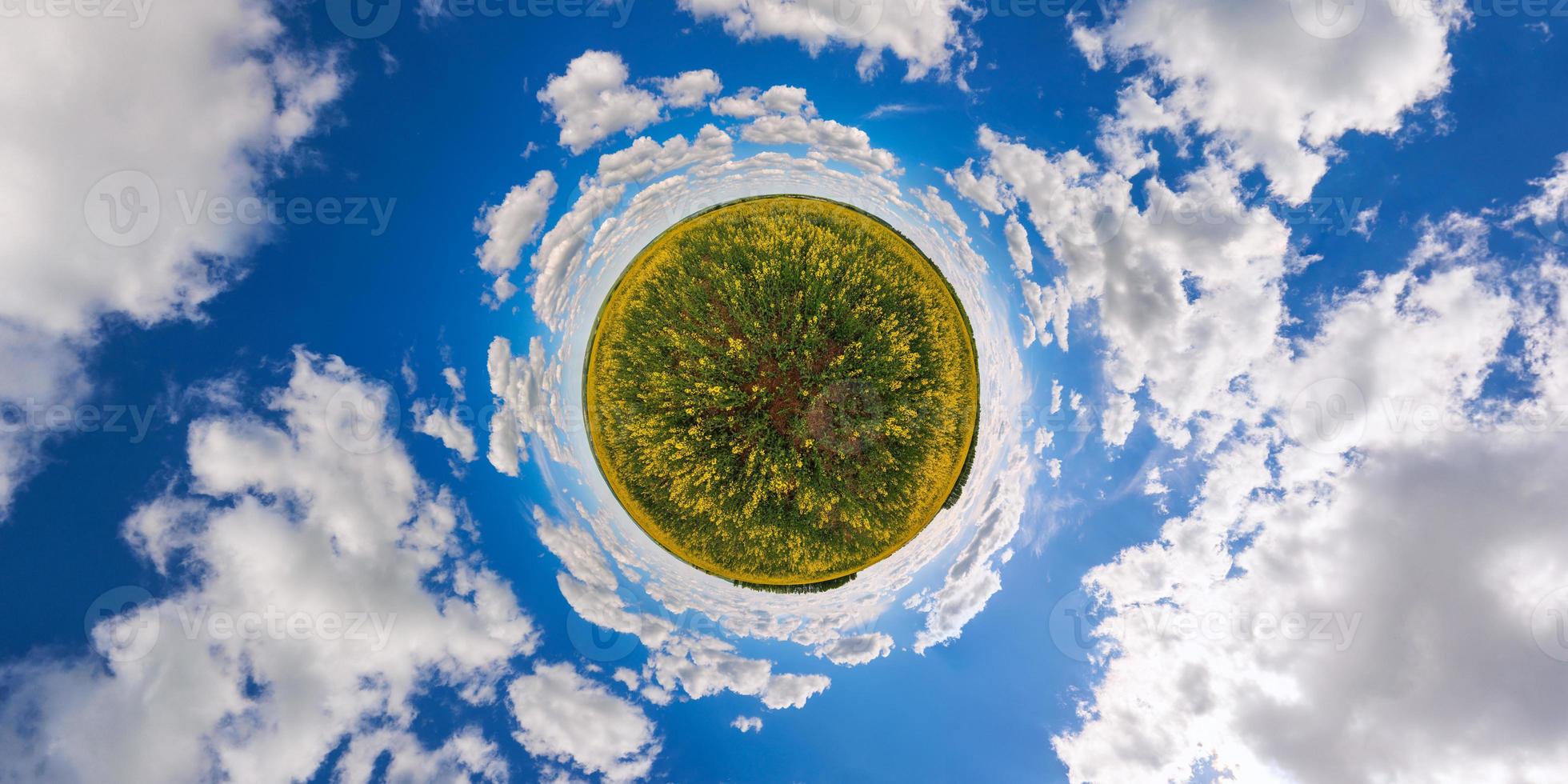 Proyección de pequeño planeta de panorama esférico de 360 grados del campo de colza de colza amarilla en flor del día de verano foto