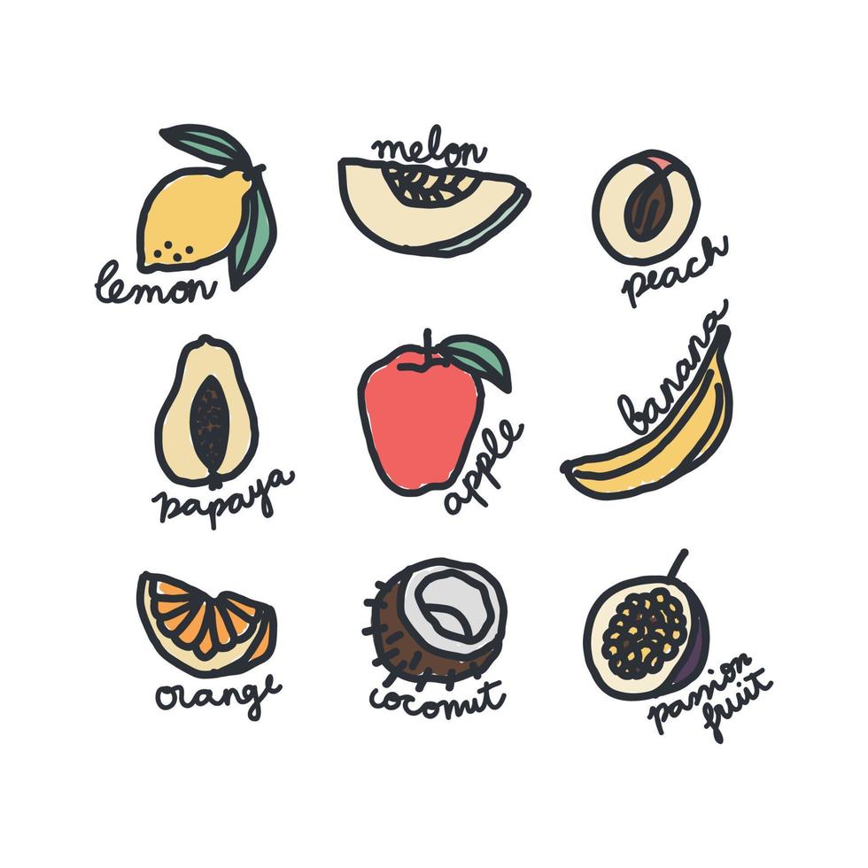 Doodled Fruit Drawings vector