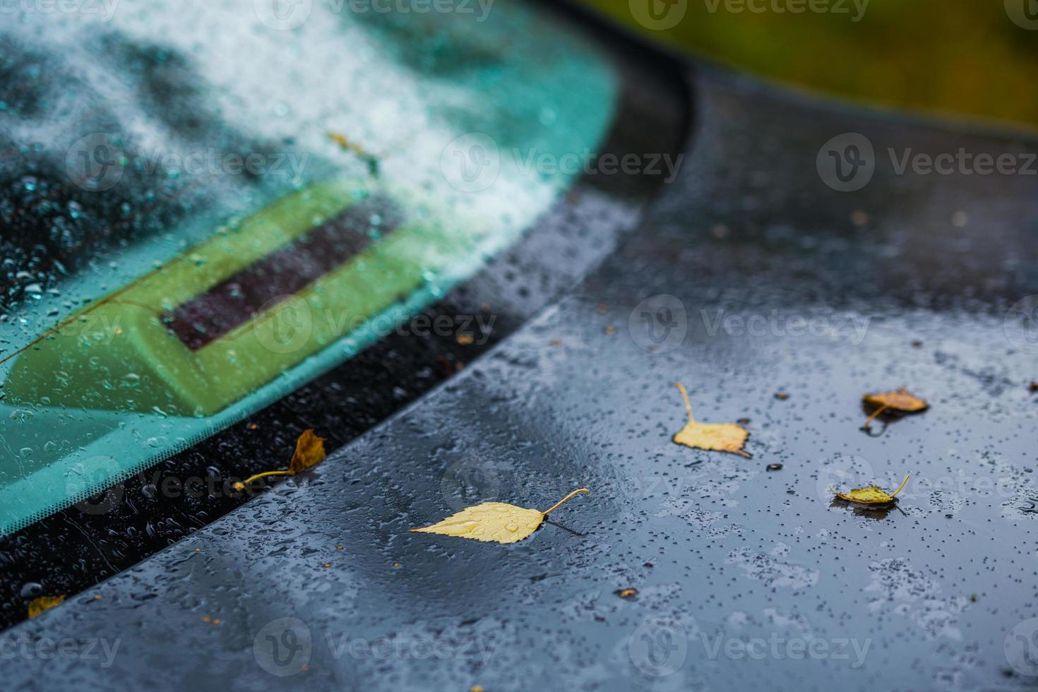 dark blue car at autumn rainy day with orange birch leaves - selective focus with blur closeup photo