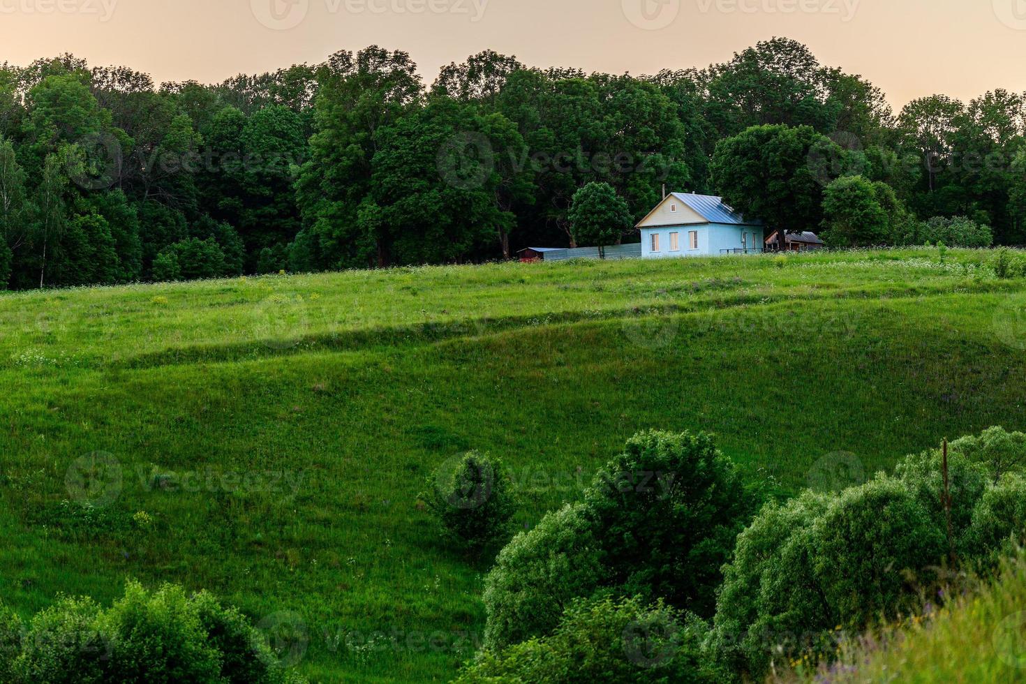 alone blue rustic house on edge of forest at summer evening view photo