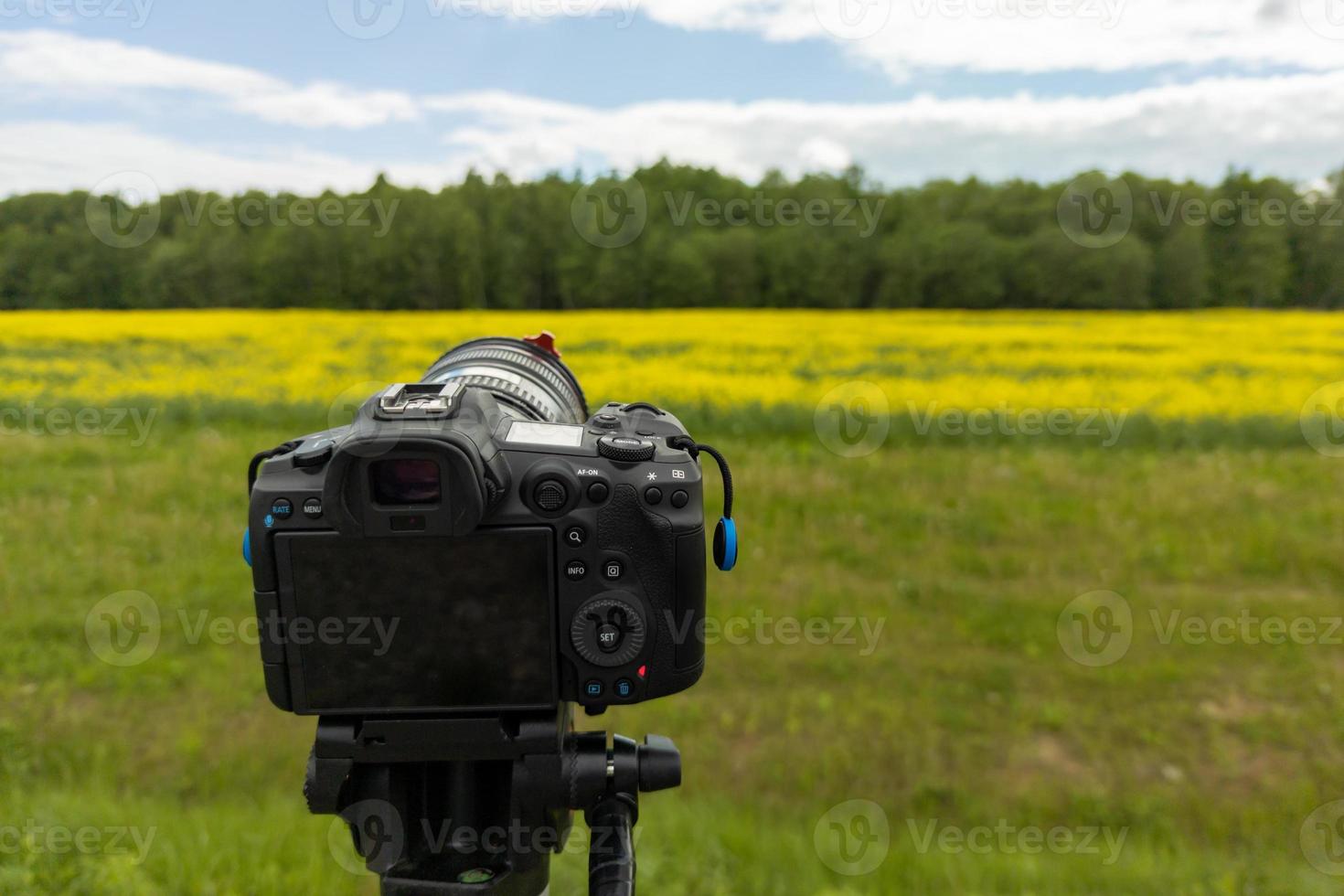 modern professional mirrorless camera on tripod shooting yellow field on tripod, closeup photo