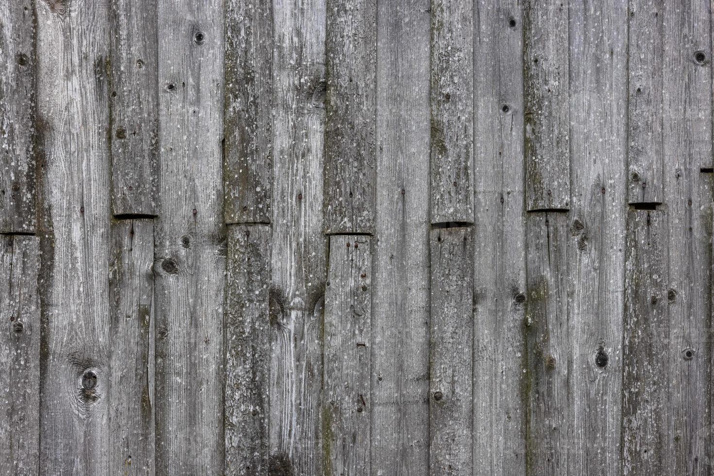 old dry weathered gray wooden board surface - full frame background and texture photo