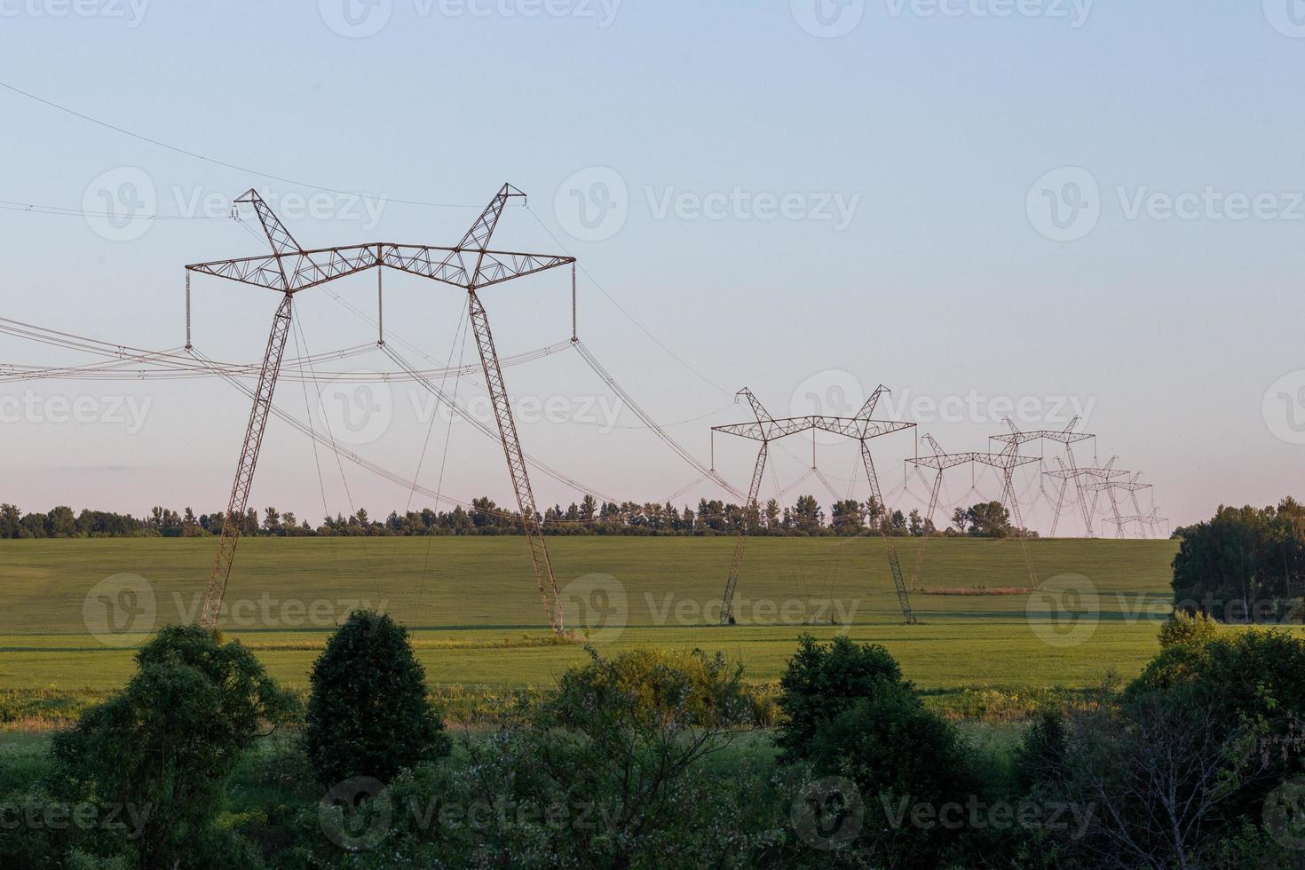 large power lines on field at summer evening photo