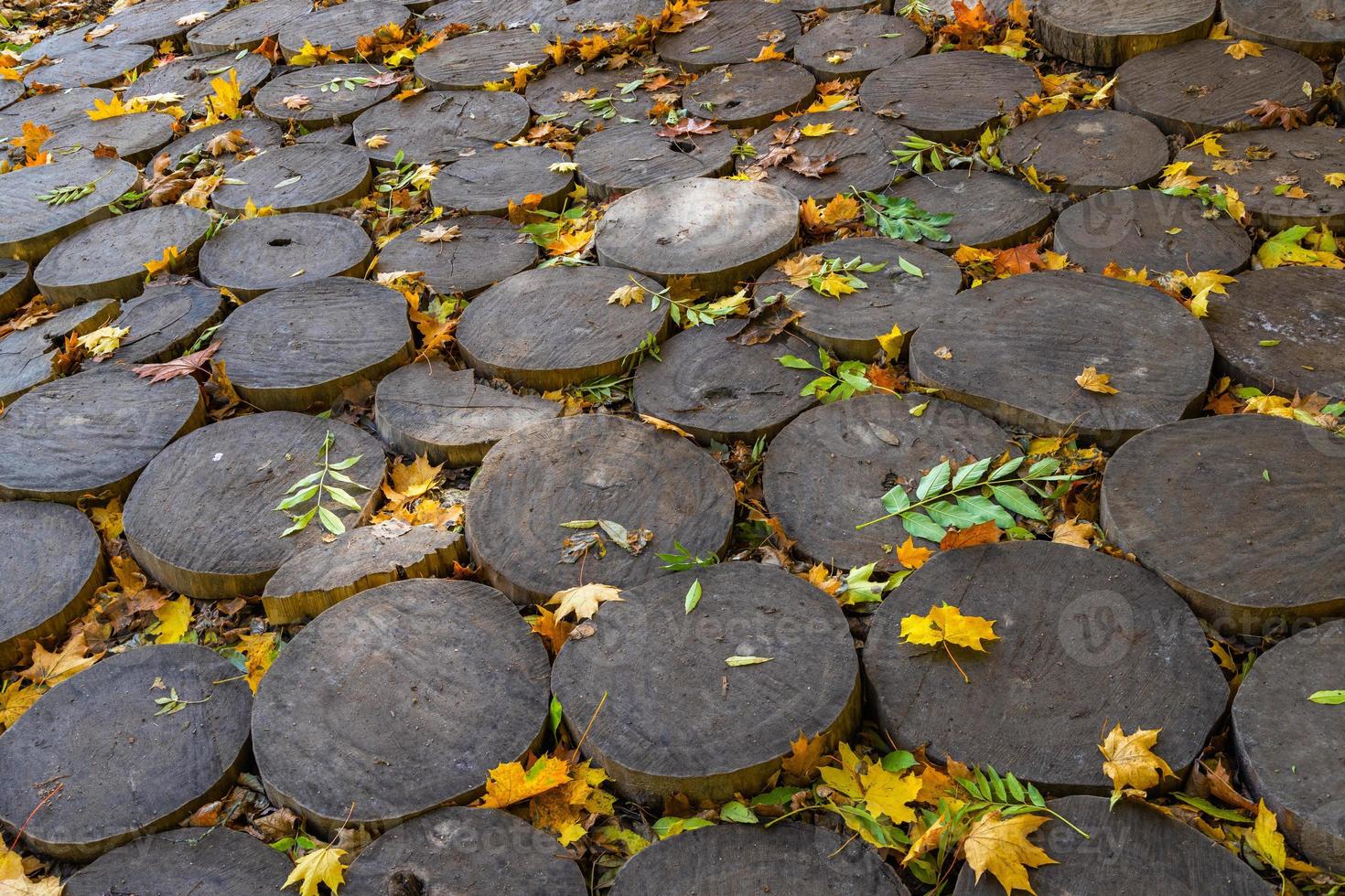cordwood floor of log end with yellow autumn leaves photo