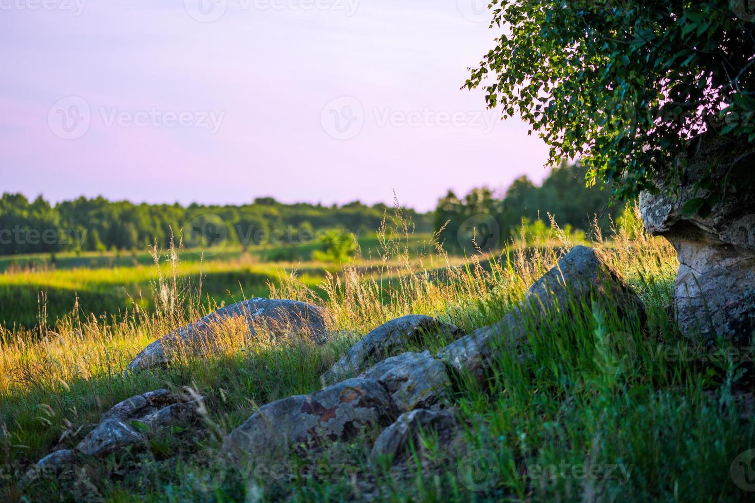 natural stones selective focus landscape photo