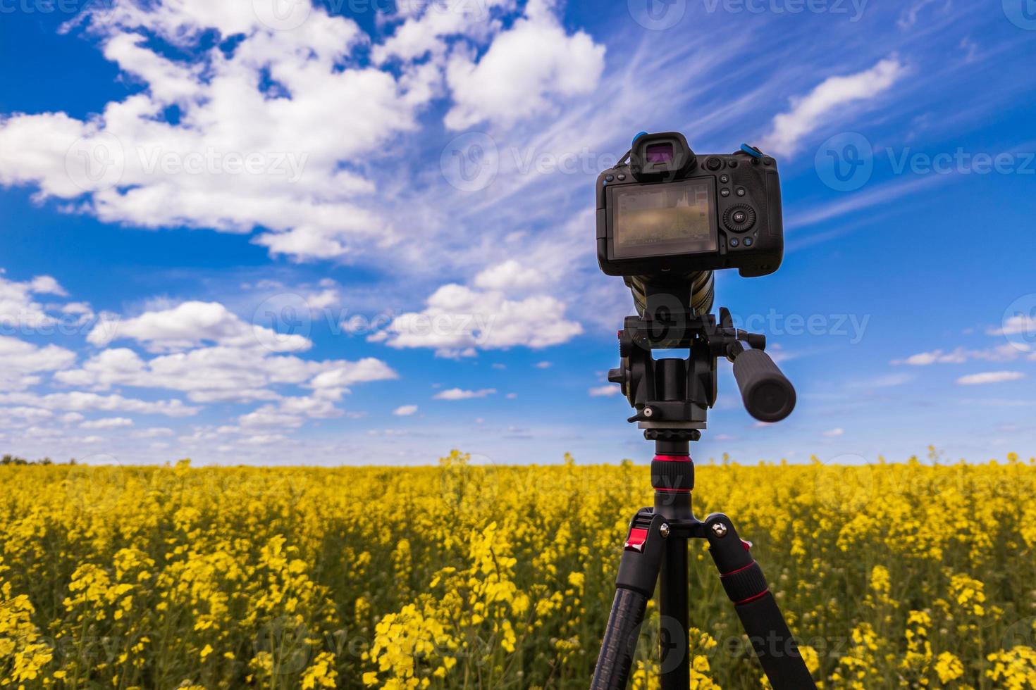 modern professional mirrorless camera on tripod shooting yellow field on tripod, closeup photo