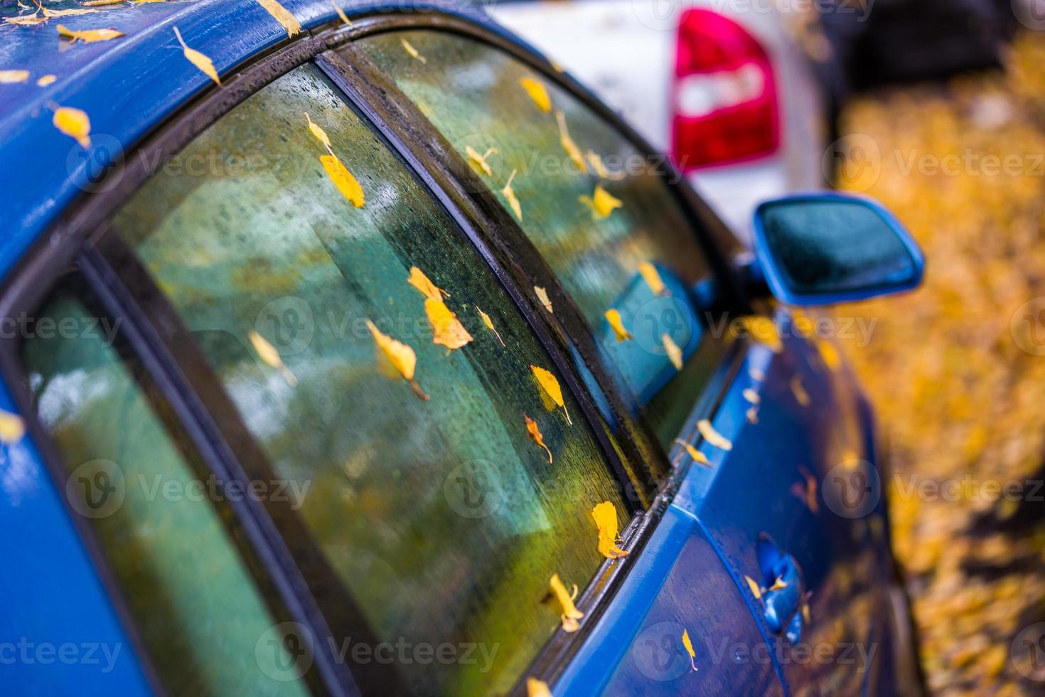 wet blue car side with autumn leaves and selective focus photo