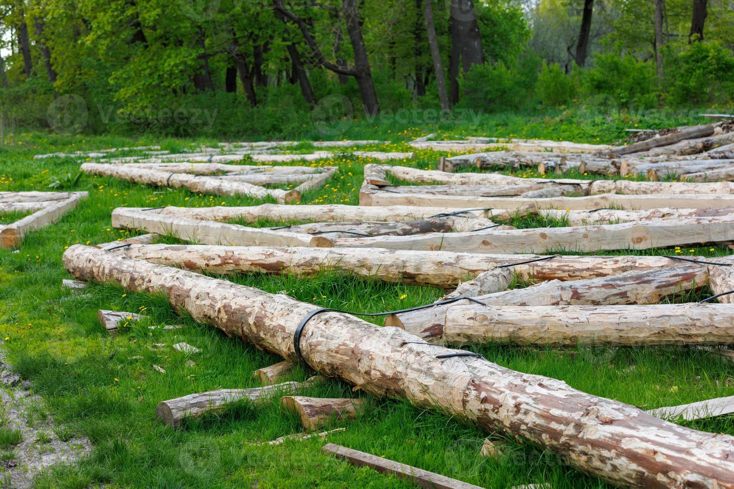 forged steel stripe connection of wooden log beams for roof support girder framework laid on green grass at summer day photo