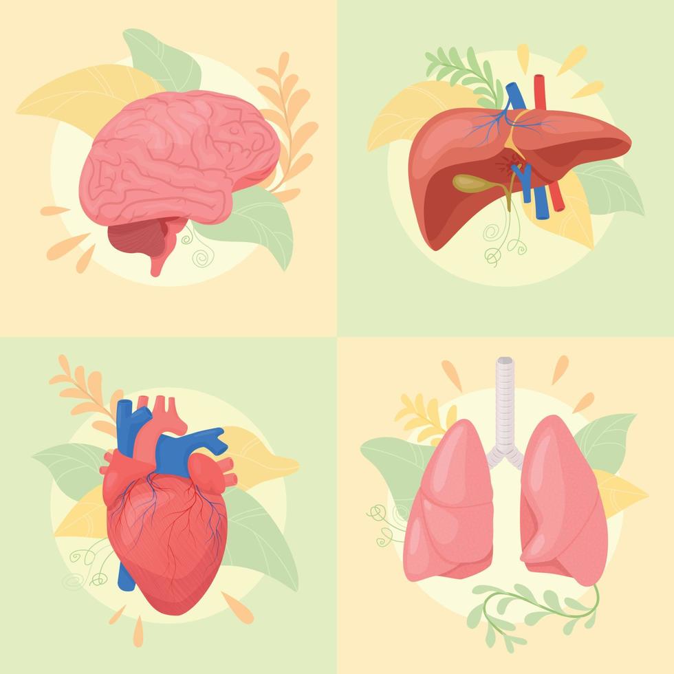 composiciones cuadradas de órganos humanos vector