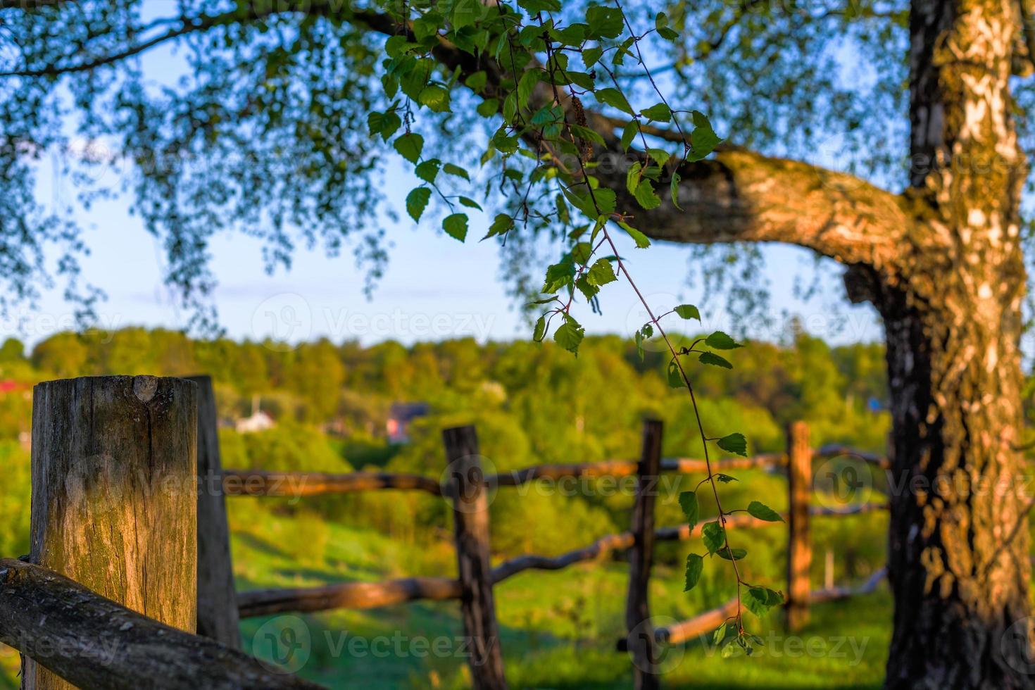 rustic view with log fence and selective focus photo