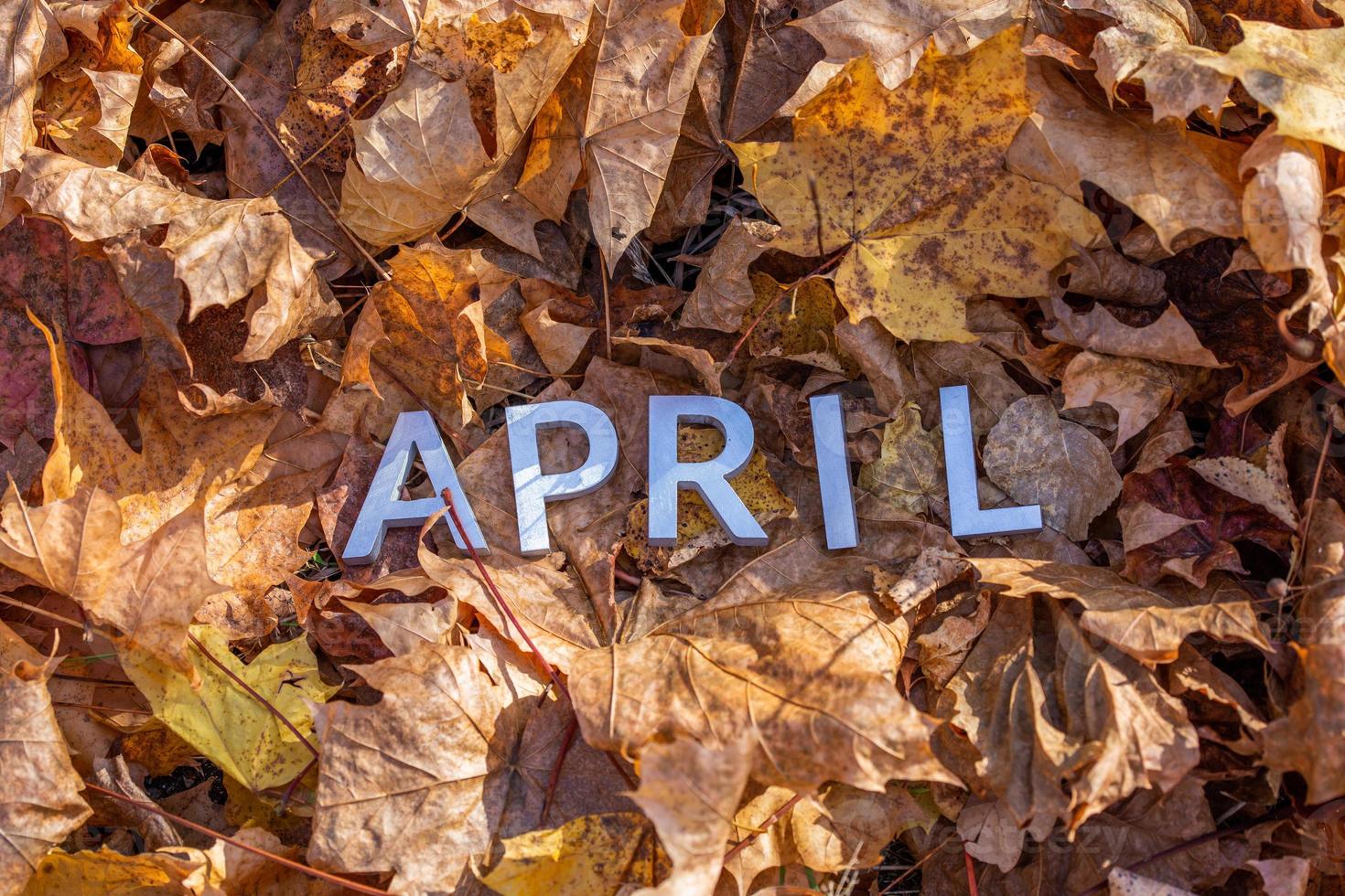 the word april laid with silver metal letters on the ground dry maple leaves photo