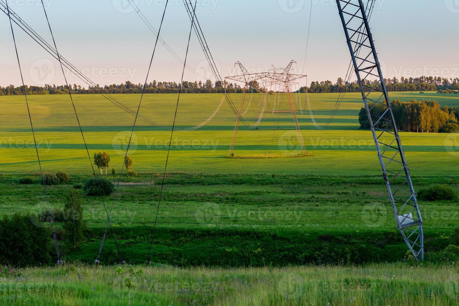 huge power line towers on field at summer evening photo