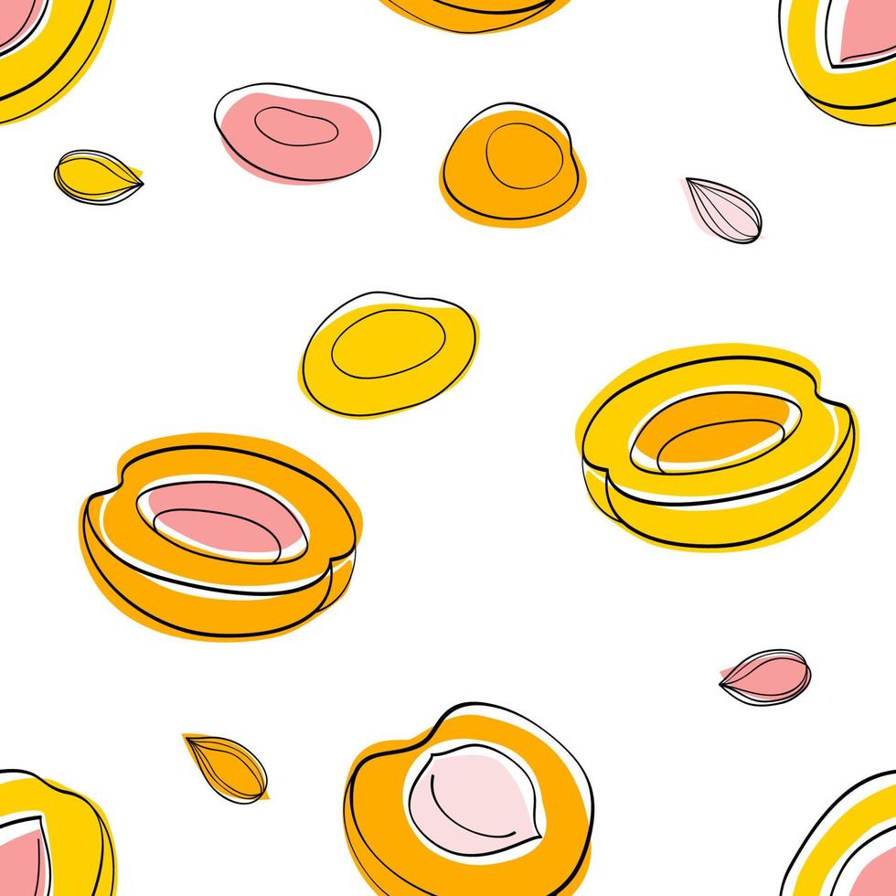 Seamless pattern Apricot half and seeds vector