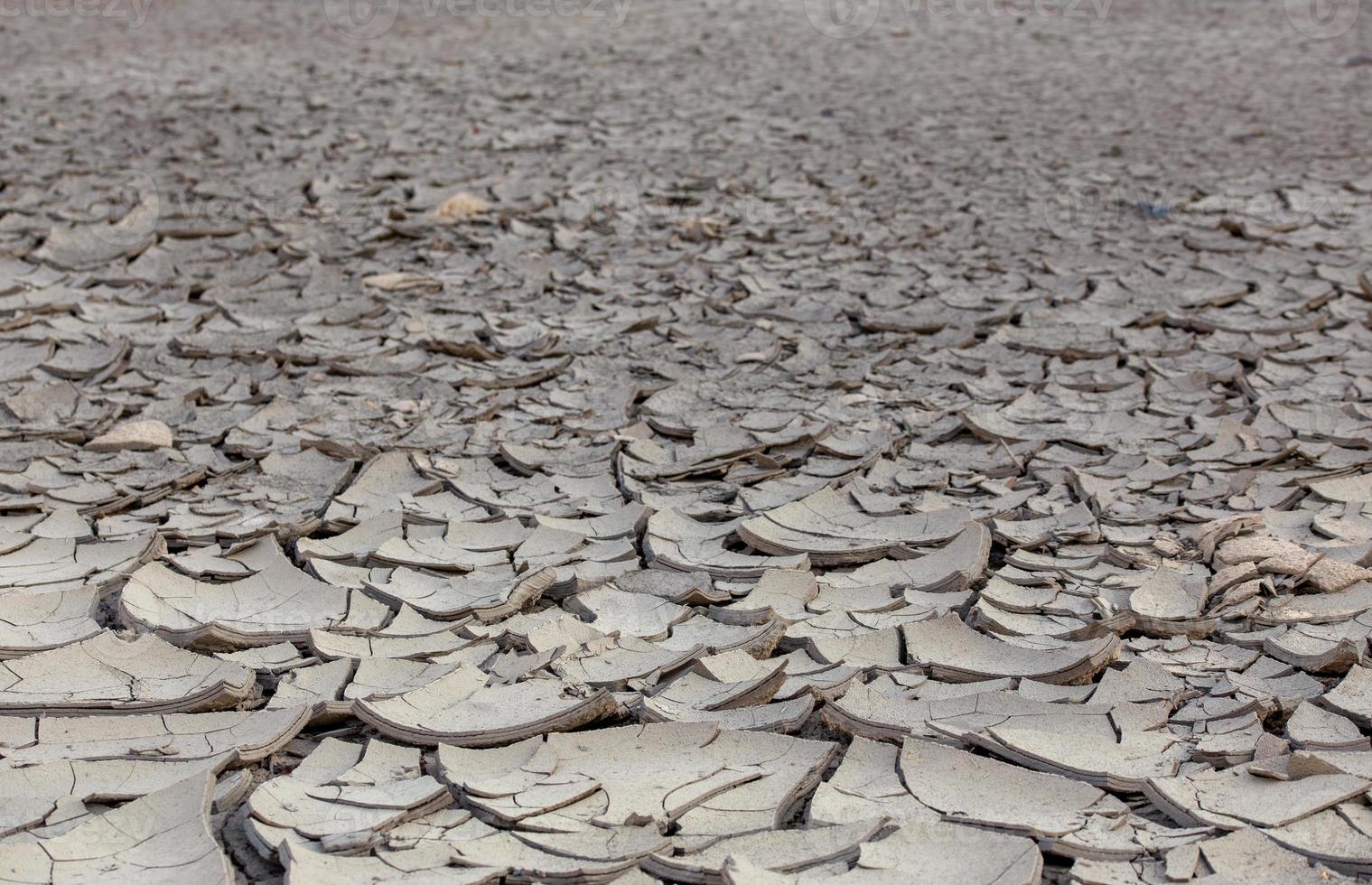 dry cracked mud desert like gray background, scorched earth with selective focus photo