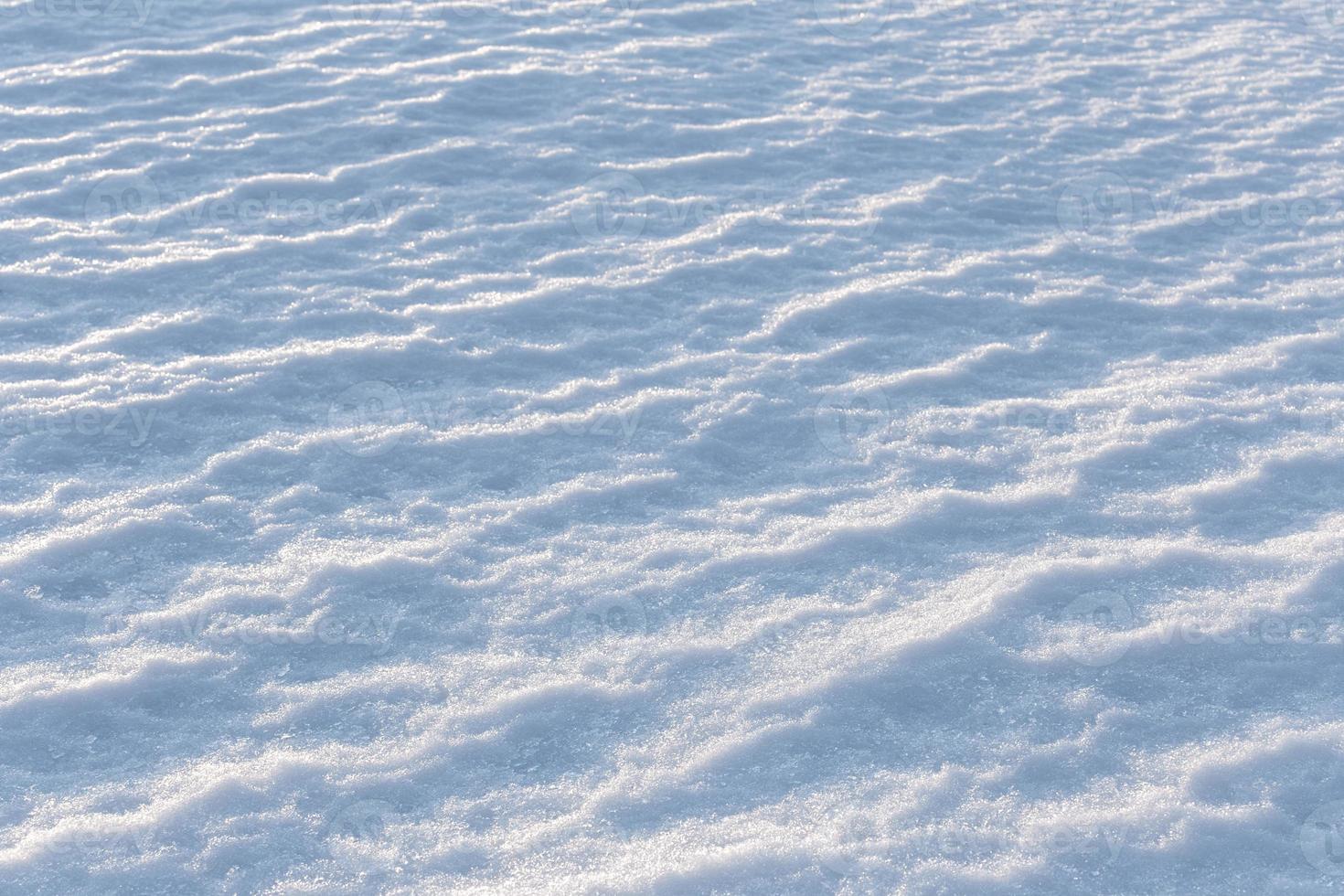 closeup snow field background with selective focus under direct evenong sunlight photo