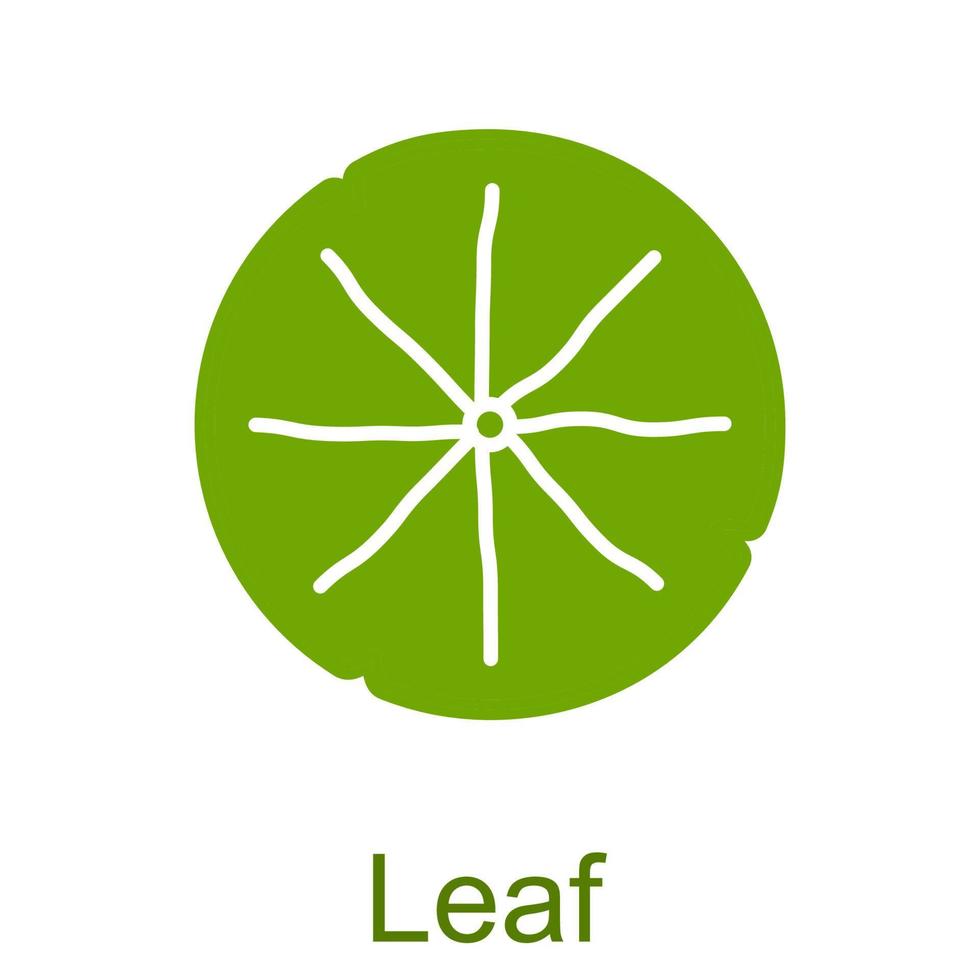 Simple Various shape leaf glyph icons set. vector