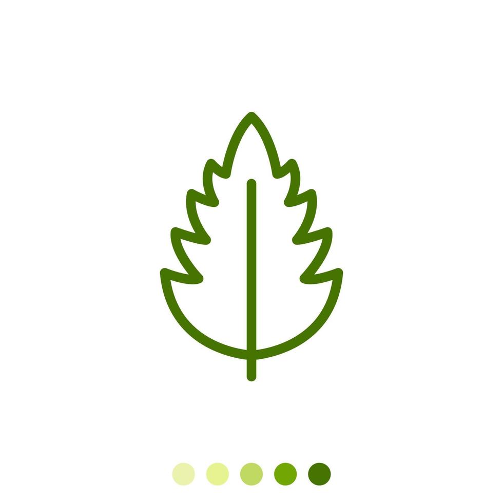 Simple green leaf linear icon. vector