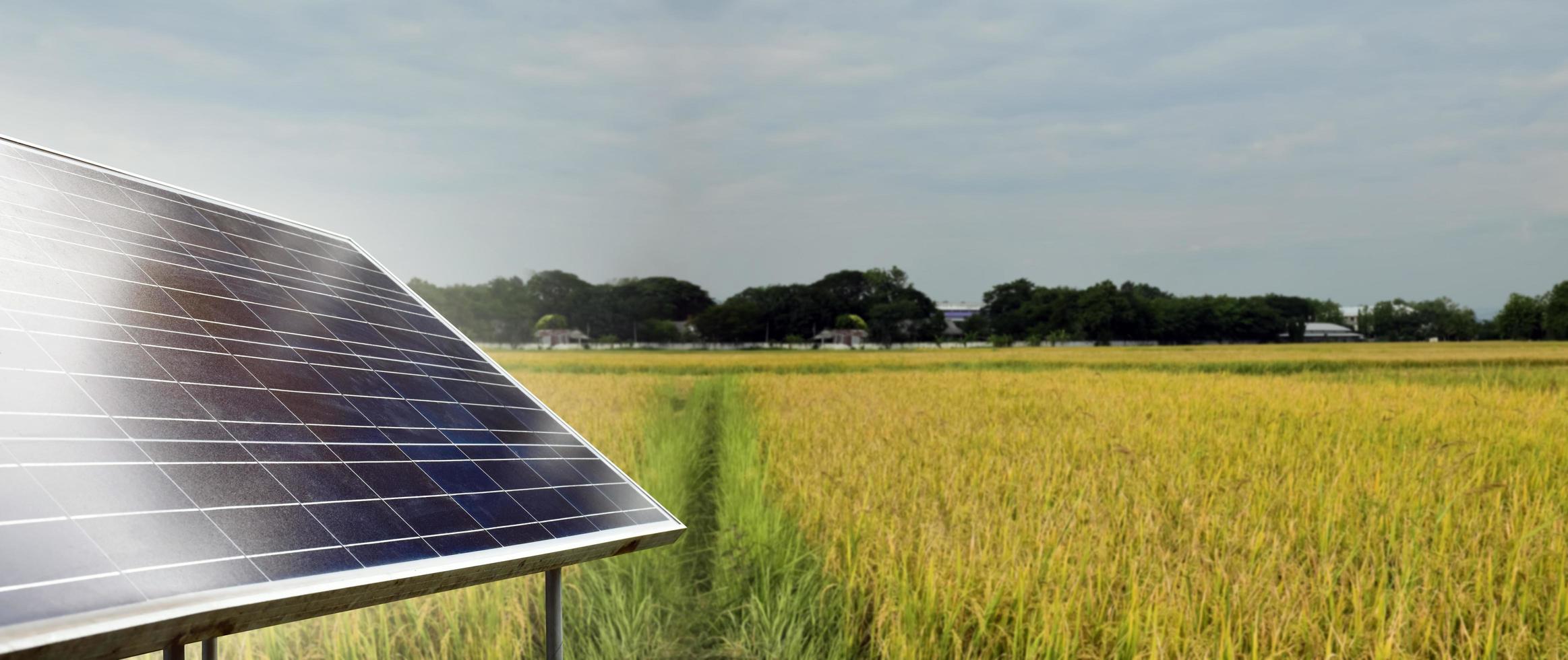 panel fotovoltaico, nueva tecnología para almacenar y utilizar la energía de la naturaleza con la vida humana, la energía sostenible y el concepto de amigo del medio ambiente. foto