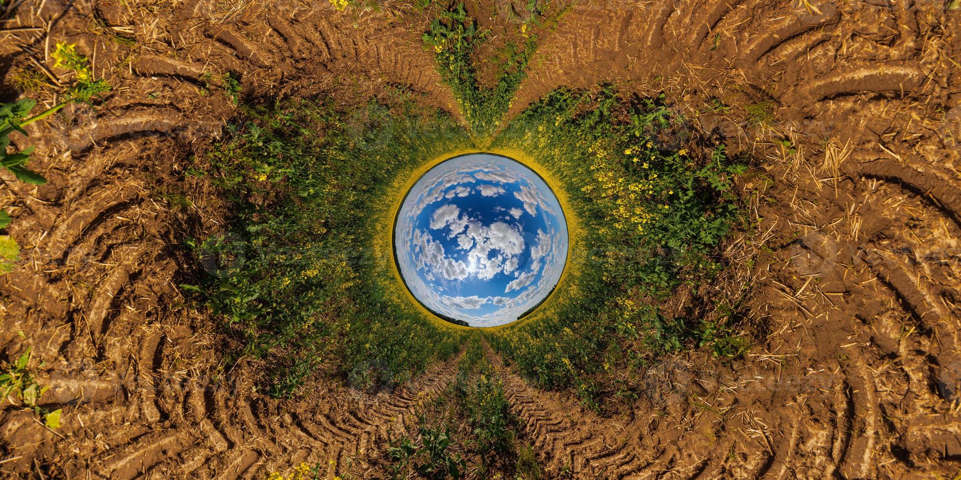 blue sphere reversed little planet view of yellow blossoming rapeseed field, round tunnel view photo