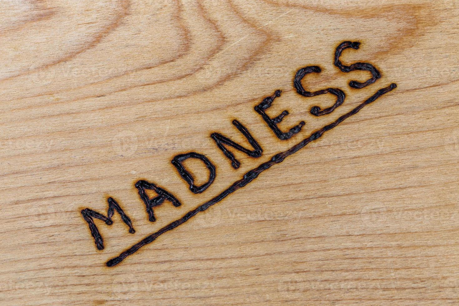 the word madness handwritten with woodburner on flat plywood surface in flat lay directly above view with diagonal composition photo