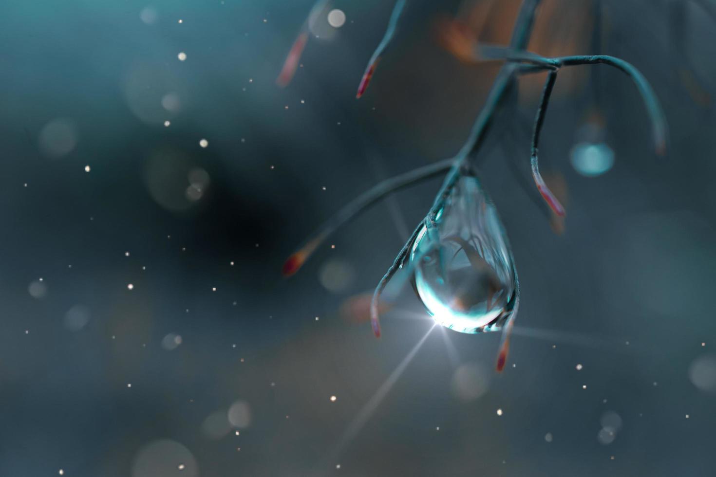drop on the plant in rainy days in springtime, blue and dark background photo