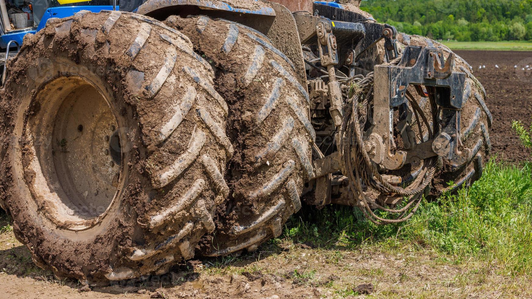 Sucias ruedas dobles de tractor agrícola en camino de tierra en el soleado día de verano foto