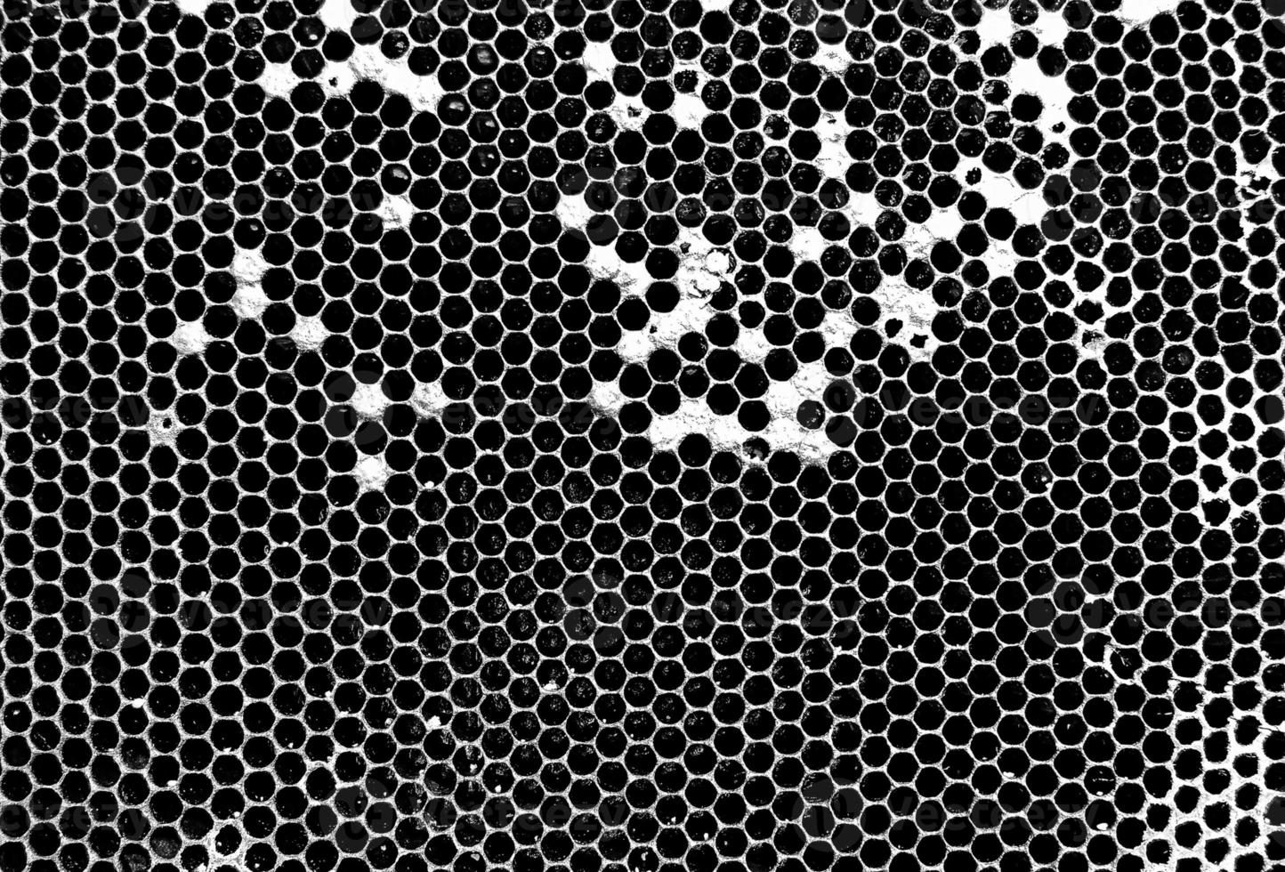 Abstract hexagon structure is honeycomb from bee hive photo