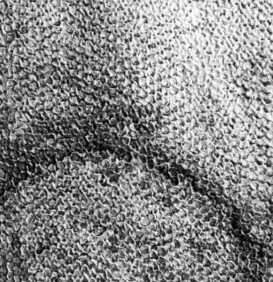 Abstract hexagon structure is honeycomb from bee hive photo