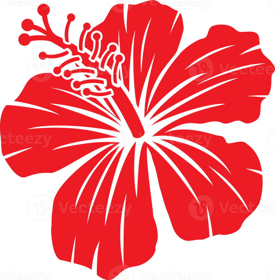 mooi rood hibiscus bloem png