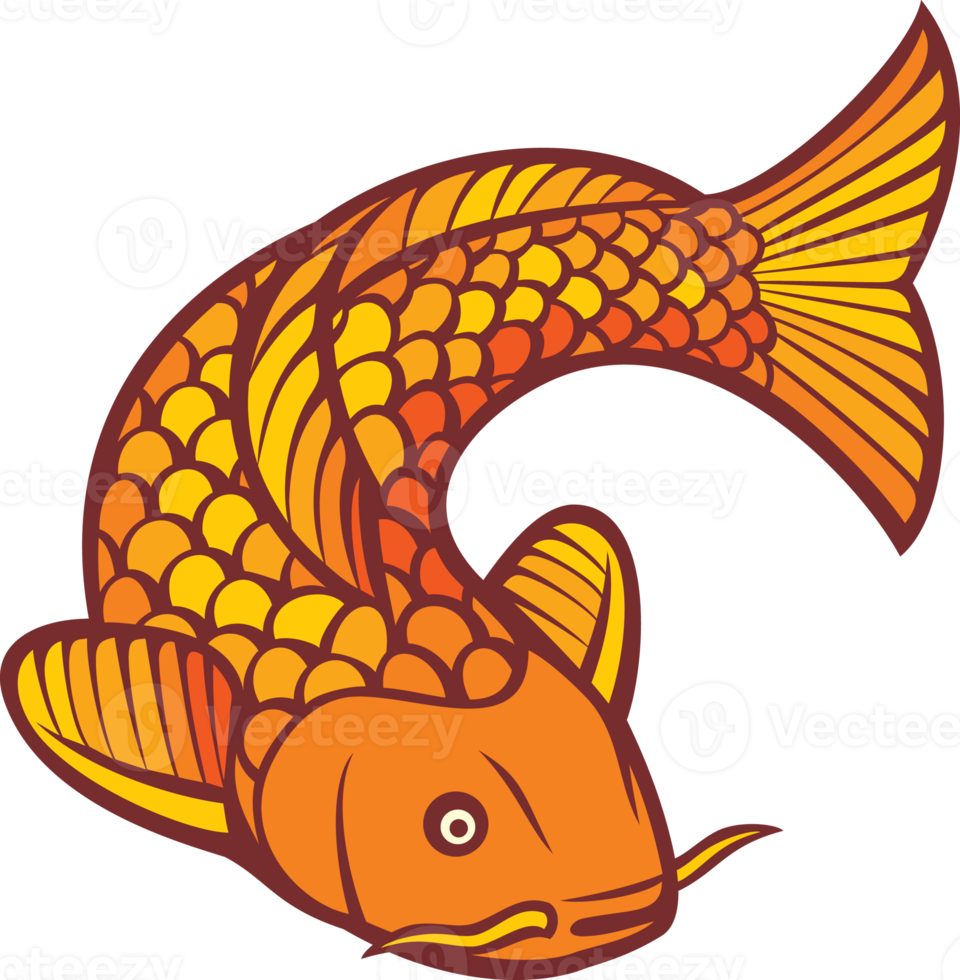 peixe carpa koi png