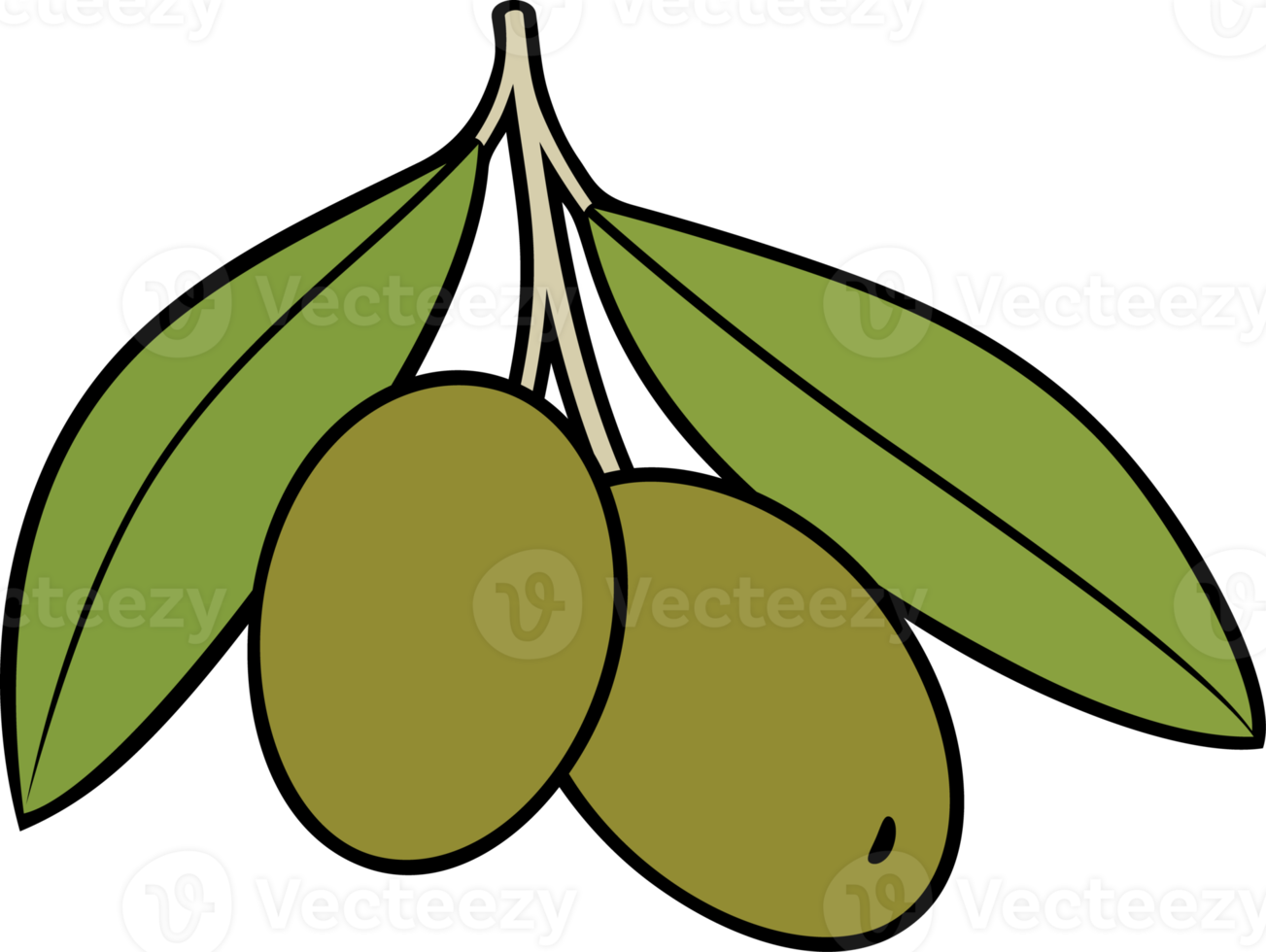 vegetal verde-oliva com folhas png