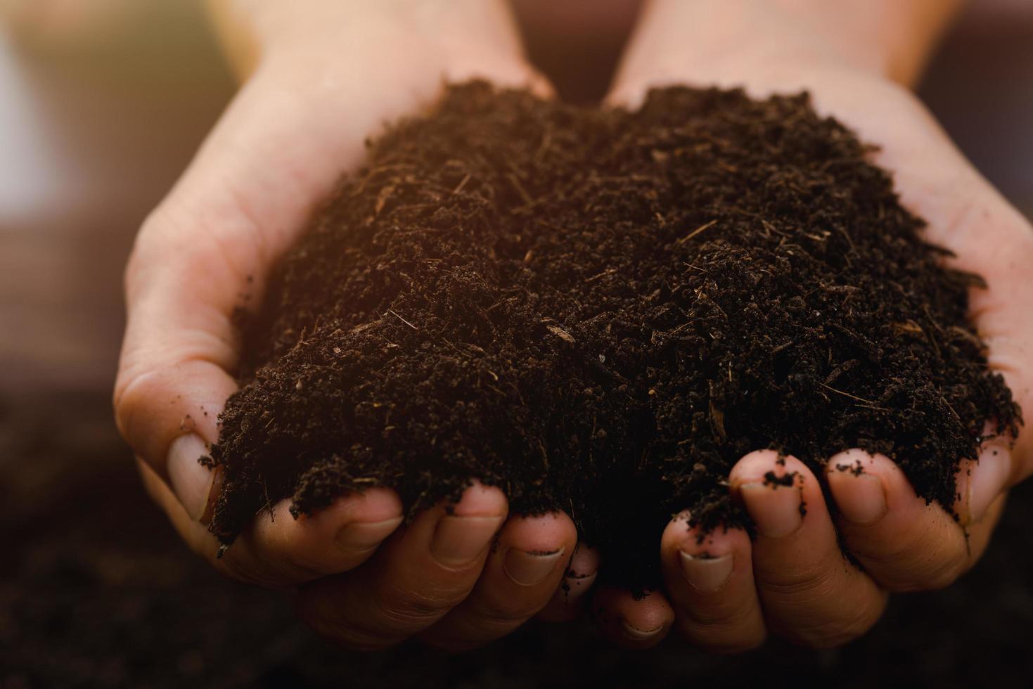 el suelo fértil está en manos de la agricultura, el concepto de abundancia en el suelo, la preservación del medio ambiente, el cultivo de hortalizas orgánicas, el desarrollo ecológico, la agricultura no tóxica, el compostaje foto