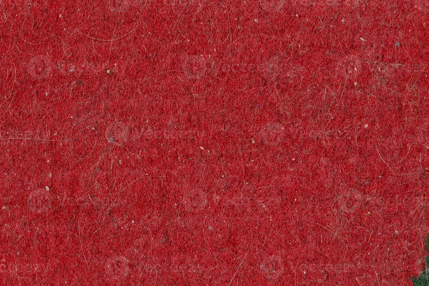 cat hair, fur and dust pollution on red flat carpet surface texture and background photo