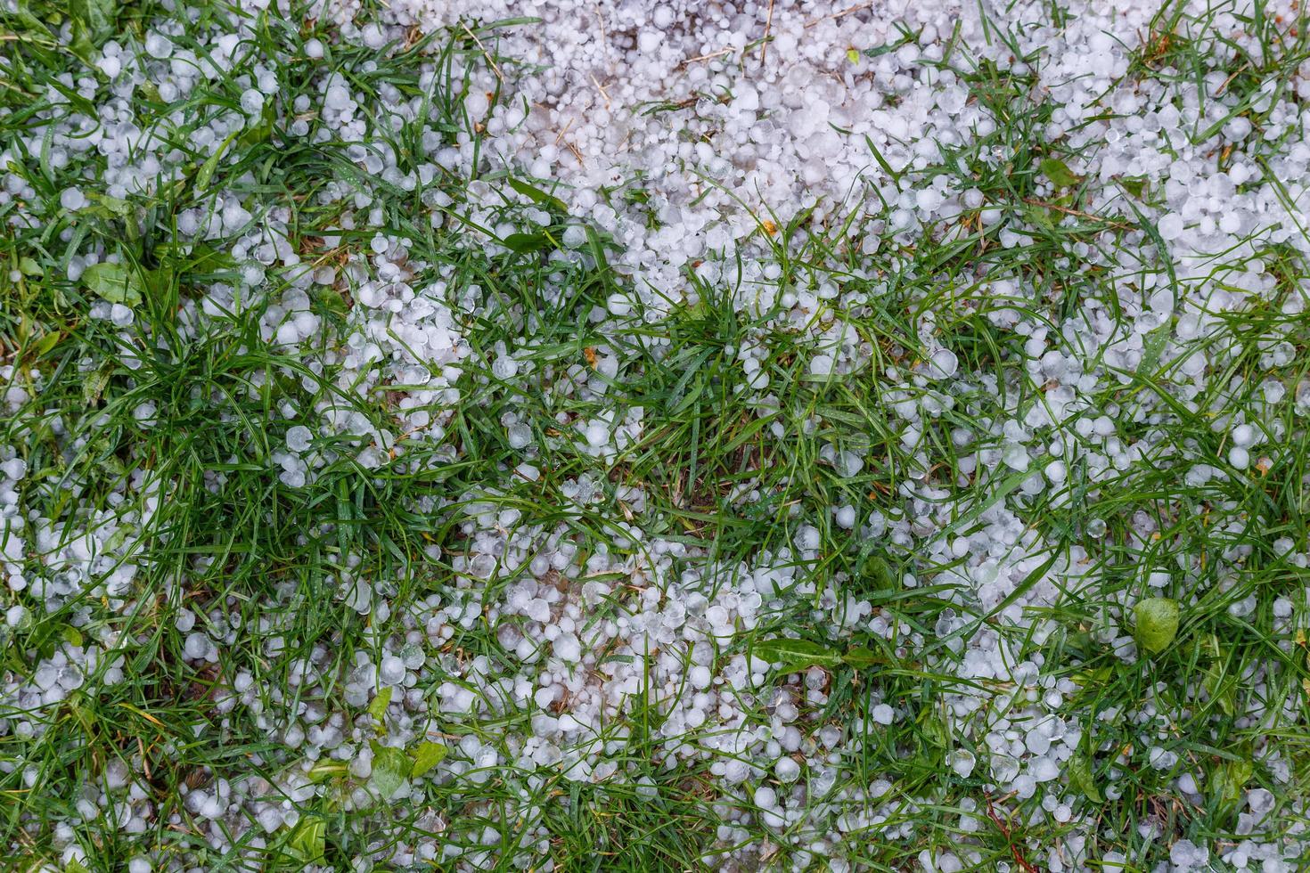 White ice hail on the green grass after summer storm photo