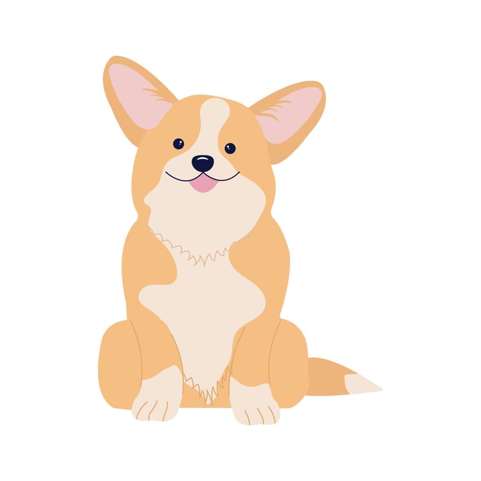 A cute corgi cartoon vector icon illustration. animal nature icon concept isolated premium vector. flat cartoon style.